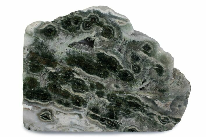 Polished Orbicular Ocean Jasper Slab - Madagascar #379337
